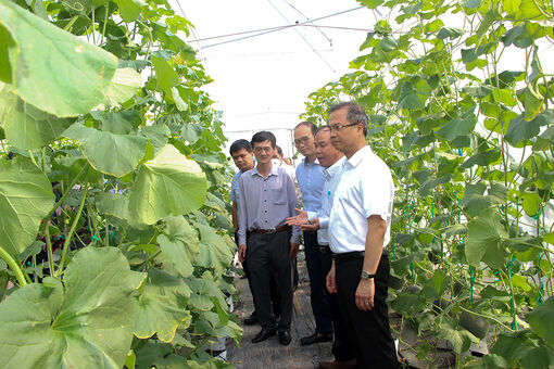 Hoạt động khoa học và công nghệ đạt nhiều kết quả nổi bật
