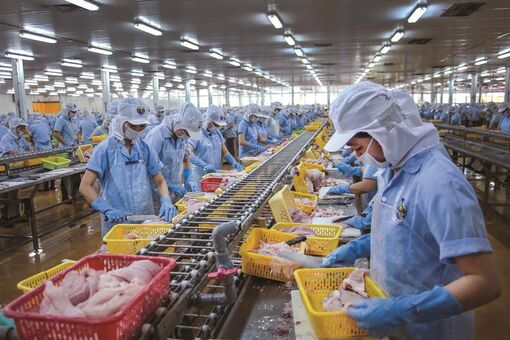 Băn khoăn tình trạng nợ đóng bảo hiểm ở An Giang