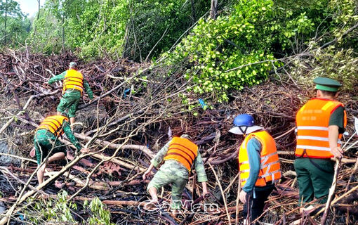 Cà Mau: Khẩn trương tìm kiếm cán bộ Viện Thủy lợi bị rơi xuống biển