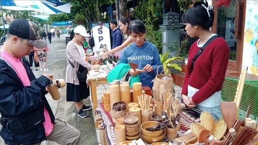 Khai mạc Festival nghệ thuật môi trường biển Hội An