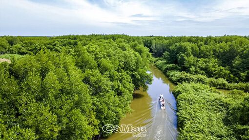 Triển vọng từ tôm sinh thái