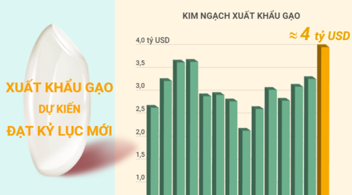 Xuất khẩu gạo dự kiến đạt kỷ lục mới