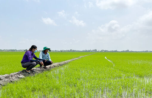 Điểm tựa cho nông dân