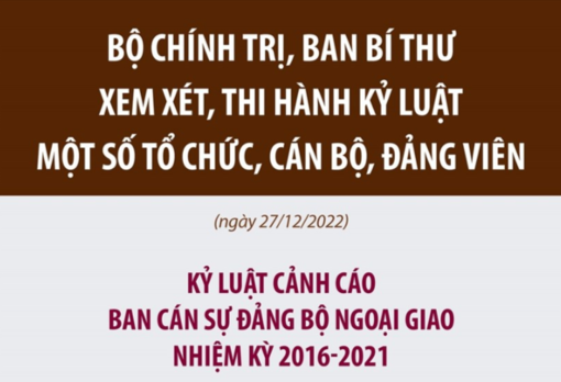 Xem xét, thi hành kỷ luật tổ chức, cán bộ, đảng viên