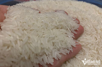 Gạo Việt thắng đậm, giá xuất khẩu vượt Thái Lan, Ấn Độ
