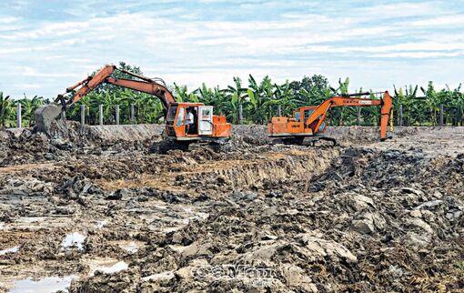 Cà Mau: Rủi ro cao từ hạn hán, xâm nhập mặn