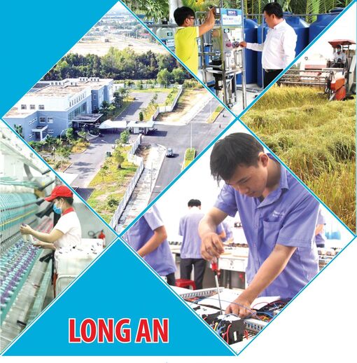 Long An đạt 19/19 chỉ tiêu Nghị quyết năm 2022