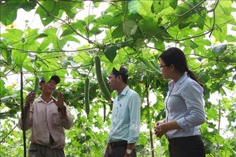 Chủ tịch Trung ương Hội Nông dân Việt Nam: Phát triển hệ sinh thái nông nghiệp