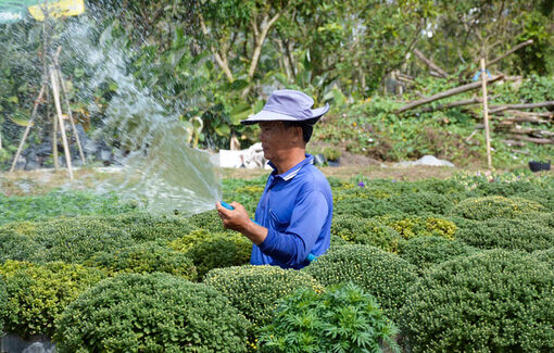 Tản mạn đầu năm