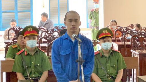Trả giá đắt vì dại dột