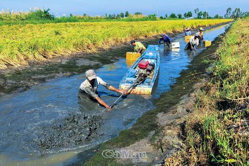 Bức tranh ngày mùa