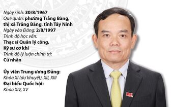 Tiểu sử Phó Thủ tướng Chính phủ nước CHXHCN Việt Nam Trần Lưu Quang