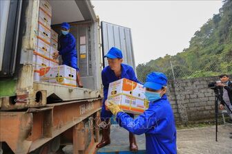 Xuất khẩu gần 7 tấn cam Cao Phong đầu tiên sang Anh