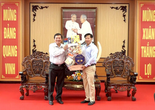 Tổng Công ty Điện lực miền Nam thăm, chúc Tết  UBND tỉnh An Giang