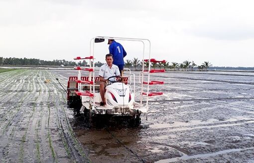 VnSAT giúp nâng chất hoạt động hợp tác xã nông nghiệp