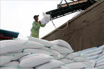 Thị trường nông sản: Giá gạo xuất khẩu đi ngang