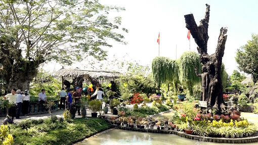 Du lịch sinh thái ở An Giang chuẩn bị đón Tết