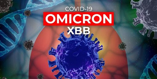 UBND tỉnh An Giang yêu cầu tăng cường phòng, chống biến thể mới XBB thuộc chủng Omicron