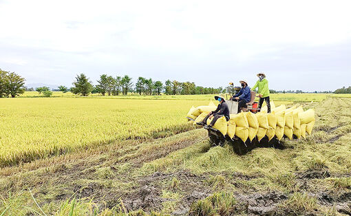 Châu Phú nỗ lực phát triển