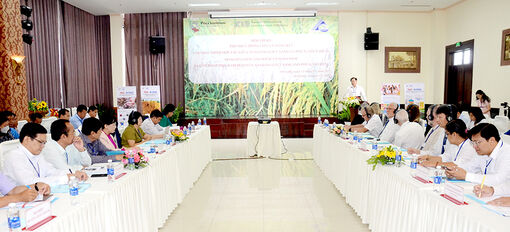 Hội thảo phổ biến thông tin và tổng kết chương trình hợp tác giữa An Giang (Việt Nam) và Pitea (Thụy Điển)