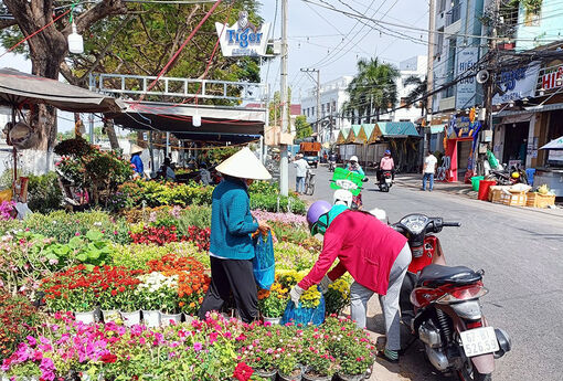 Thú vị chợ hoa, chợ đồ cổ ngày Tết