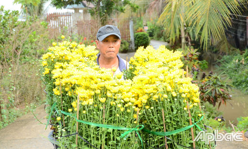 Tiền Giang: Hoa tết hút hàng