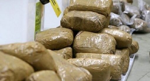 Jamaica thu giữ lượng ma túy trị giá 50 triệu USD