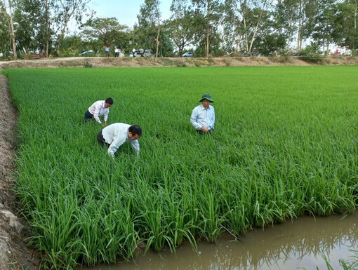 Phó Chủ tịch UBND tỉnh An Giang Trần Anh Thư thăm đồng trước Tết