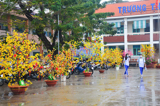 Tạo không gian Xuân cho trường học đón Tết Quý Mão 2023