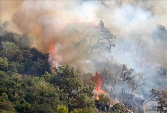 'Giặc lửa' tàn phá hơn 1.800 ha rừng của Cuba