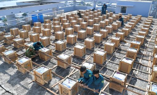 Chuẩn bị hoàn tất các giàn pháo hoa giao thừa