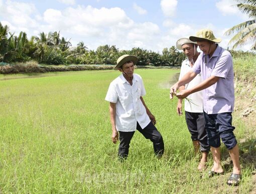 Trà Vinh: Cơ hội và thách thức phát triển kinh tế số nông nghiệp, nông thôn