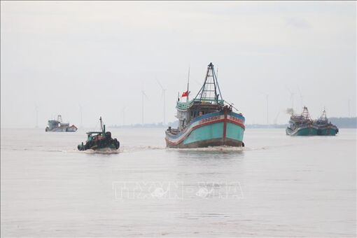 Ngư dân Bến Tre ra khơi ngày đầu năm mới