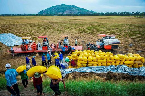 Kỳ vọng một An Giang bứt phá