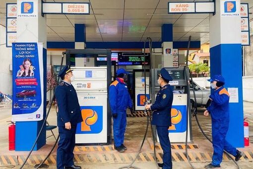 Yêu cầu khẩn trương trình Nghị định kinh doanh xăng dầu; Quy hoạch điện VIII