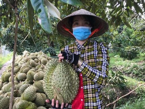 Tín hiệu vui đầu năm