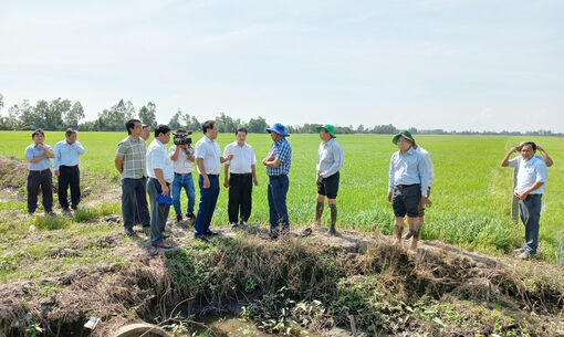 Bảo vệ đồng ruộng mùa Tết