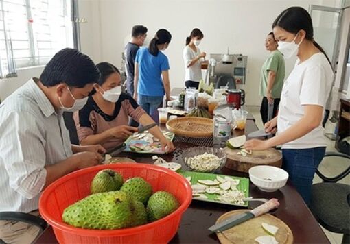 Hậu Giang: Giúp mãng cầu gai vươn xa trên thị trường