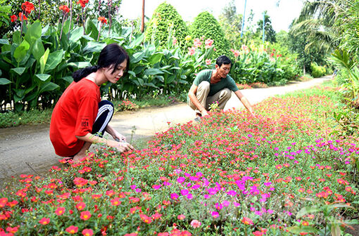 Kiên Giang: Diện mạo mới ở những vùng quê