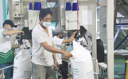 An Giang: Thi đua hoàn thành thắng lợi nhiệm vụ kinh doanh
