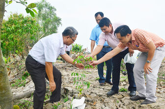 Kiểm tra công tác trồng cây phân tán năm 2022 tại TP. Châu Đốc