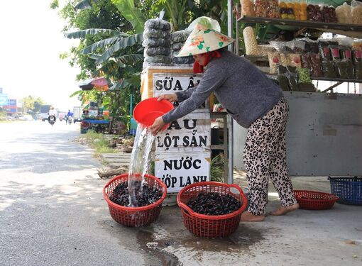 Xóm ấu