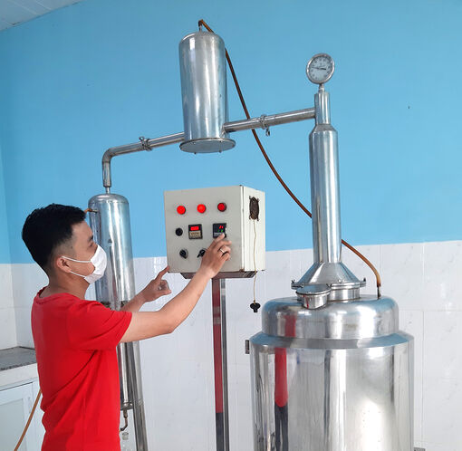 Nghiên cứu quy trình sản xuất tinh dầu húng quế