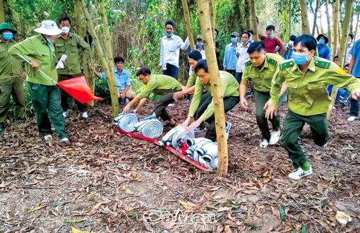 Cà Mau: Quyết tâm giữ rừng