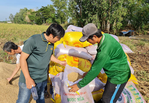 Ngành nông nghiệp An Giang đặt quyết tâm cao năm 2023