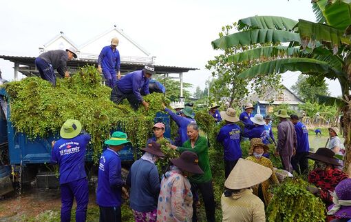 Chuyện những người đi thu hoạch dược liệu làm từ thiện