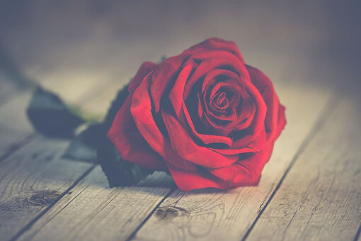 Lời chúc Valentine ngọt ngào, tình cảm dành cho vợ, chồng