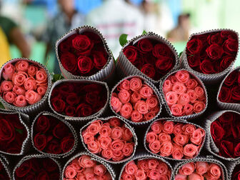Ý nghĩa của hoa hồng và chocolate ngày Valentine