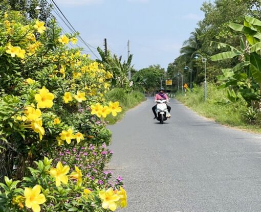 Vĩnh Long: Bình Hòa Phước xây nông thôn mới kiểu mẫu