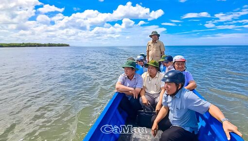 Cà Mau: Tính toán phát triển khu vực Đầm Thị Tường